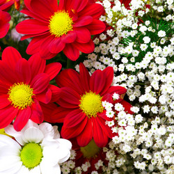 Similar image 619687