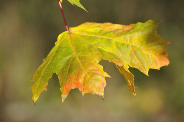 Similar image 619698