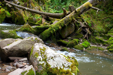 Similar image 620052