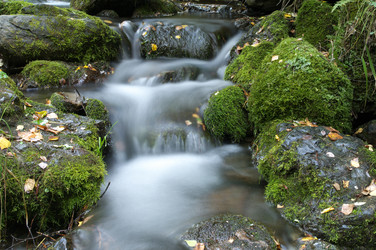 Similar image 620053