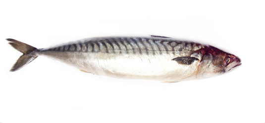 Similar image 620061