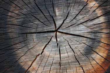 Similar image 620068