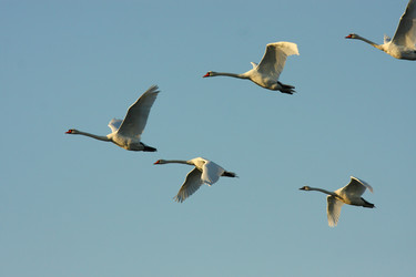 Similar image 620076