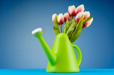 Similar image 620105