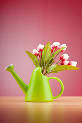 Similar image 620107