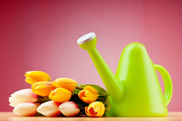 Similar image 620108