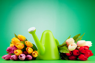 Similar image 620109