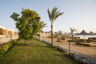 Similar image 620168