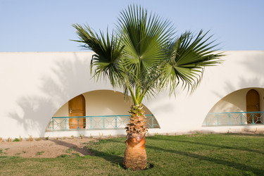 Similar image 620174