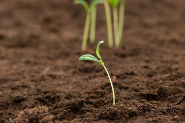 Similar image 620221