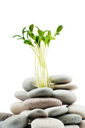 Similar image 620223