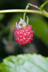 Similar image 620479