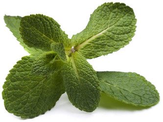 Similar image 620587