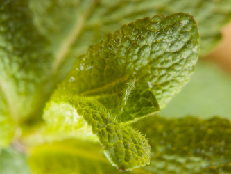 Similar image 620589