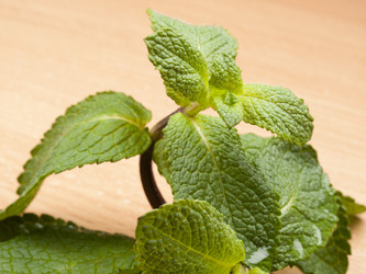 Similar image 620590