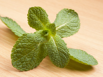 Similar image 620592