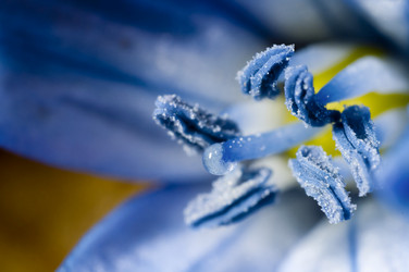 Similar image 620645