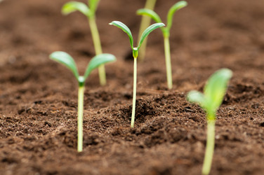 Similar image 620661