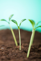 Similar image 620659