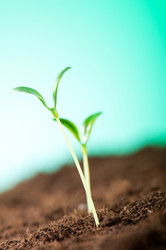 Similar image 620663