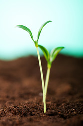 Similar image 620664