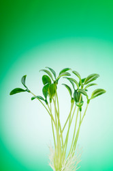 Similar image 620668