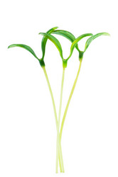 Similar image 620670