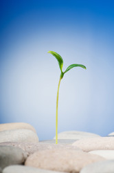 Similar image 620685