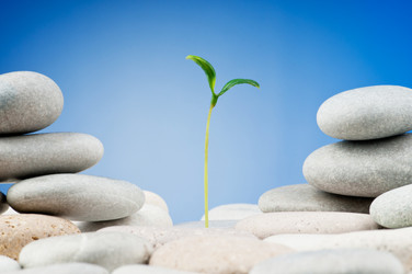 Similar image 620686