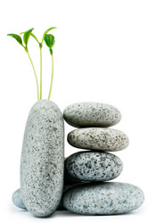 Similar image 620688