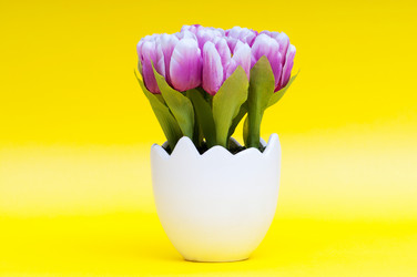 Similar image 620821