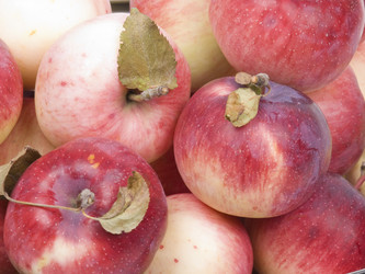 Similar image 621000