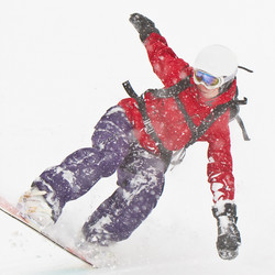 Similar image 621108