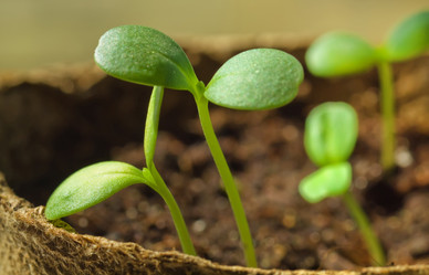 Similar image 621112