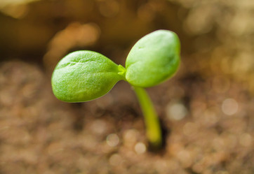 Similar image 621113