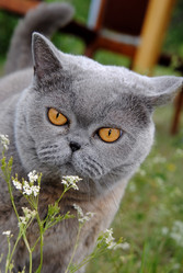 Similar image 621215