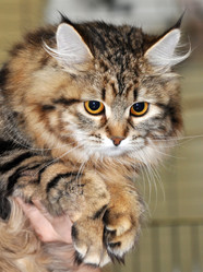 Similar image 621216