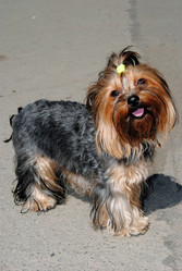 Similar image 621217