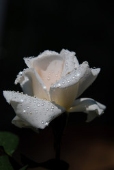 Similar image 621218