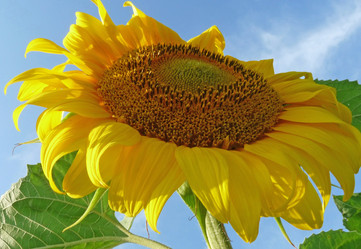 Similar image 621265