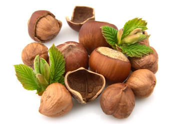 Similar image 621336