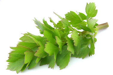 Similar image 621363