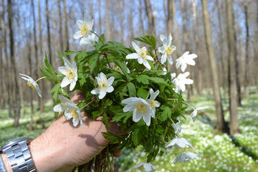 Similar image 621424