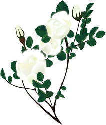 Similar image 621446