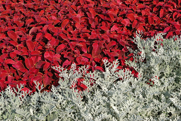 Similar image 621450