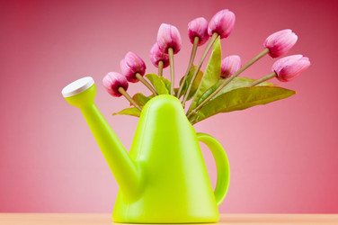 Similar image 621504