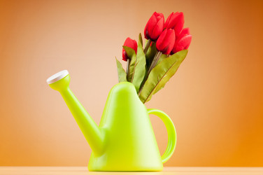 Similar image 621505