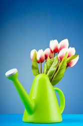 Similar image 621506