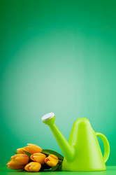 Similar image 621509