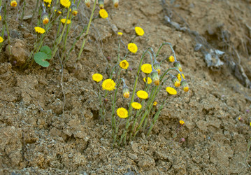 Similar image 621609